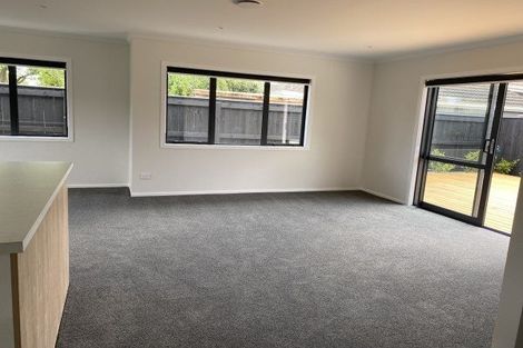 Photo of property in 77a Guy Avenue, Takaro, Palmerston North, 4410