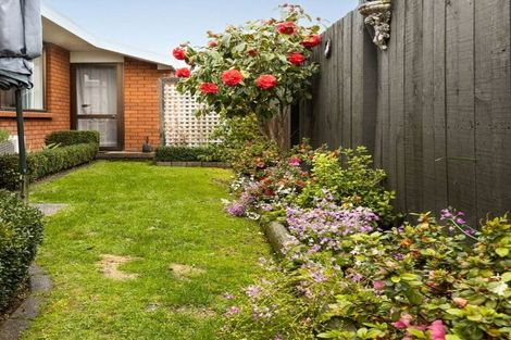 Photo of property in 48b Mclauchlan Street, Springlands, Blenheim, 7201