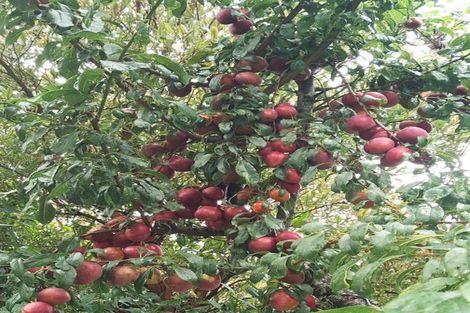 Photo of property in 69 Greenacres Street, Macandrew Bay, Dunedin, 9014