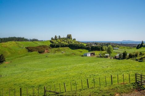 Photo of property in 956b Whakamarama Road, Whakamarama, 3179