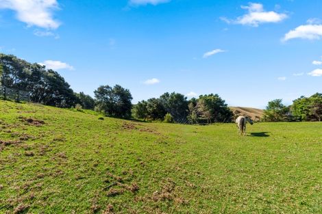Photo of property in 516 Fordyce Road, South Head, Helensville, 0874