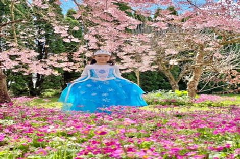 Photo of property in 125 Matangi Road, Matangi, Hamilton, 3284