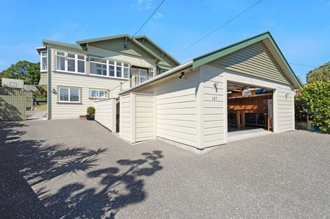 Photo of property in 167 Coutts Street, Rongotai, Wellington, 6022