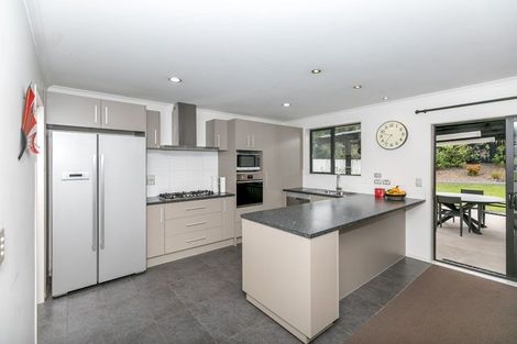 Photo of property in 17 Te Ironui Place, Huntington, Hamilton, 3210