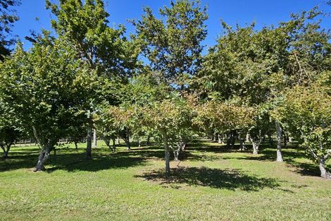 Photo of property in 298 Maungarangi Road, Paengaroa, Te Puke, 3189
