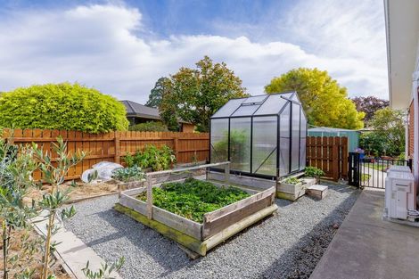 Photo of property in 11 Oxford Street, Waimate, 7924