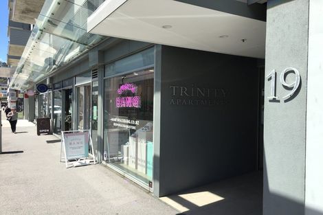 Photo of property in Trinity Apartments, 19 College Street, Te Aro, Wellington, 6011