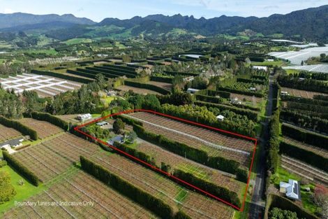 Photo of property in 91 Rea Road, Tahawai, Katikati, 3178