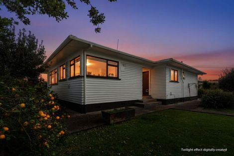 Photo of property in 106 Freyberg Road, Ruawai, 0530
