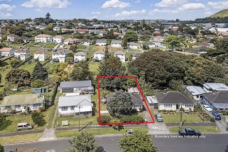 Photo of property in 35 Torino Street, Point England, Auckland, 1072