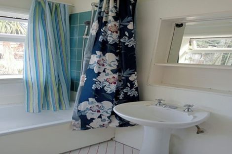 Photo of property in 20 Balfour Street, Mornington, Wellington, 6021