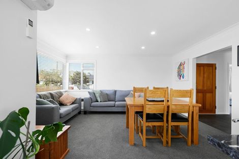 Photo of property in 59 Alfred Street, Fairfield, Hamilton, 3214