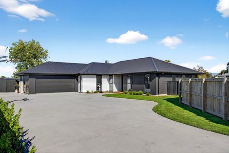 Photo of property in 7 Market Street, Lansdowne, Masterton, 5810