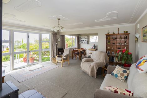 Photo of property in 21 Tamar Street, South Hill, Oamaru, 9400