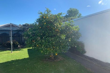 Photo of property in 5 Clifton Place, Riverdale, Gisborne, 4010