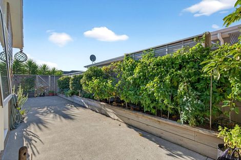 Photo of property in 5 Tarata Grove, Lansdowne, Masterton, 5810