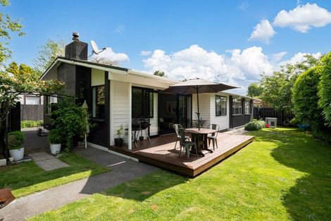 Photo of property in 203 Victoria Street, Cambridge, 3434