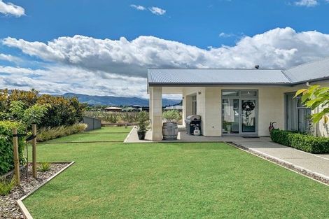 Photo of property in 46 Quinnat Street, Albert Town, Wanaka, 9305
