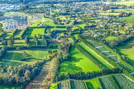 Photo of property in 75a Riddell Road, Kerikeri, 0230