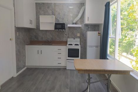 Photo of property in 133a London Street, Dunedin Central, Dunedin, 9016