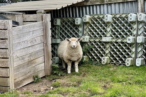 Photo of property in 65 Orawia Road, Tuatapere, 9620