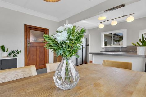 Photo of property in 215 Riverslea Road South, Akina, Hastings, 4122