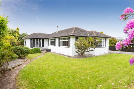 Photo of property in 345 Ruahine Street, Terrace End, Palmerston North, 4410