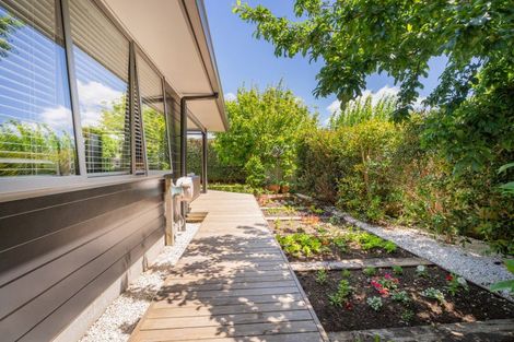 Photo of property in 8b Cook Drive, Whitianga, 3510