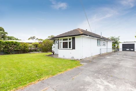 Photo of property in 345 Ruahine Street, Terrace End, Palmerston North, 4410