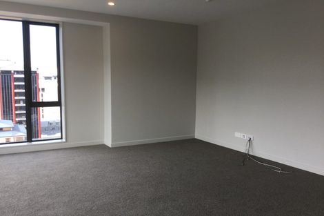 Photo of property in Vsp Nothern Tower, 1205/166 Victoria Street, Te Aro, Wellington, 6011