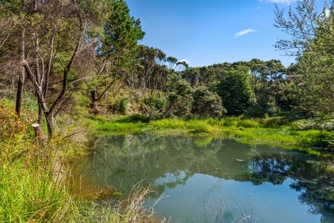Photo of property in 516 Fordyce Road, South Head, Helensville, 0874