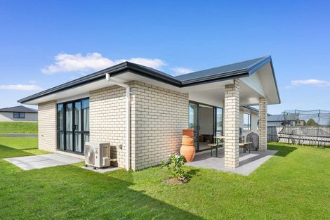 Photo of property in 17 Andrew Hilton Close, Morrinsville, 3300