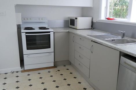 Photo of property in 95 Roxburgh Street, Mount Victoria, Wellington, 6011