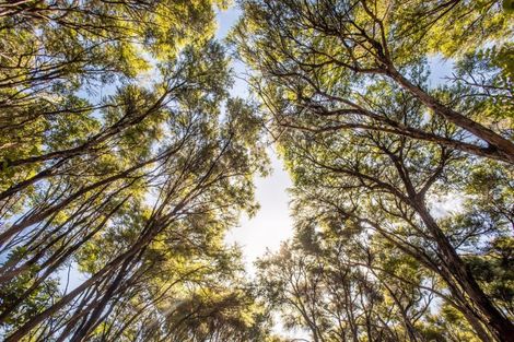 Photo of property in 537 Manawaora Road, Parekura Bay, Russell, 0184