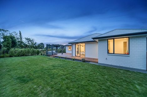 Photo of property in 155 Metehau Street, Marshland, Christchurch, 8083
