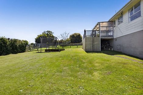 Photo of property in 17 Suther Street, Waverley, 4510