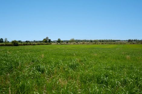 Photo of property in 3126 Cambridge Road, Rotoorangi, Cambridge, 3495