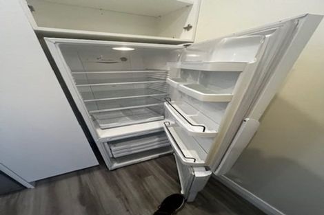 Photo of property in 217 Aro Street, Aro Valley, Wellington, 6021