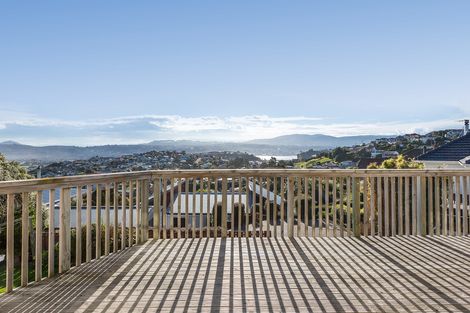 Photo of property in 40 Minto Street, Andersons Bay, Dunedin, 9013