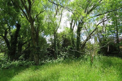 Photo of property in 605 Whakapirau Road, Whakapirau, Maungaturoto, 0583