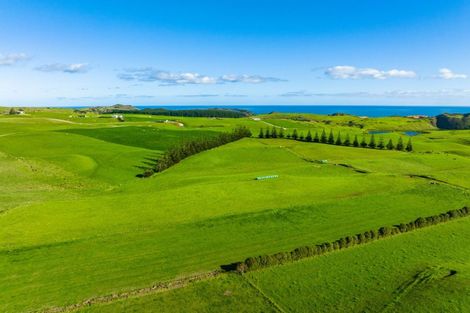 Photo of property in 1000 Redhill Road, Te Kopuru, Dargaville, 0371