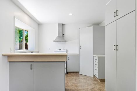 Photo of property in 99 Malcolm Avenue, Beckenham, Christchurch, 8023