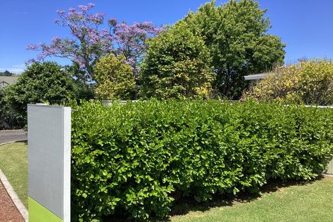 Photo of property in 17 Hinaki Street, Inner Kaiti, Gisborne, 4010