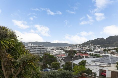 Photo of property in 46 Wright Street, Mount Cook, Wellington, 6021