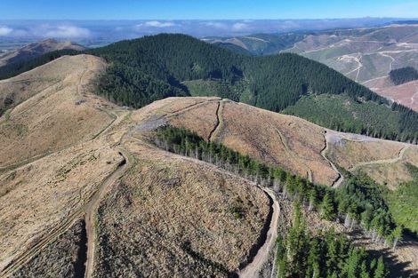 Photo of property in 49 Te Moana Road, Waikanae Beach, Waikanae, 5036