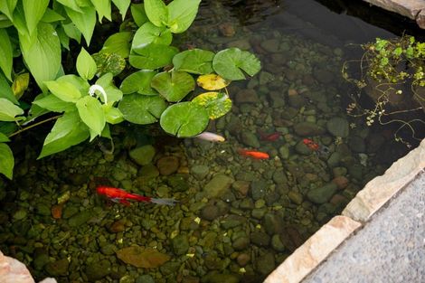 Photo of property in 46 Saint Pauls Drive, Brookfield, Tauranga, 3110