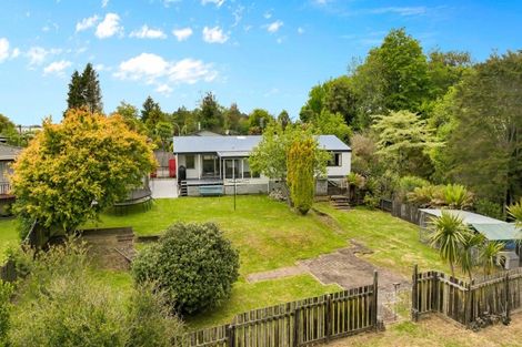 Photo of property in 14 Waikato Place, Tokoroa, 3420
