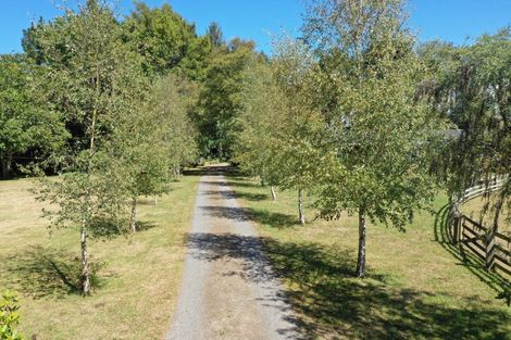 Photo of property in 414 Rakaiatai Road, Ormondville, Dannevirke, 4977