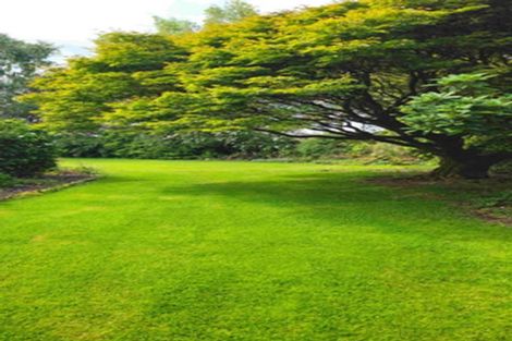 Photo of property in 8 Winter Road, Menzies Ferry, Wyndham, 9891