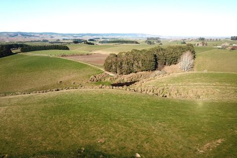 Photo of property in 31 Birss Road, Balclutha, 9272